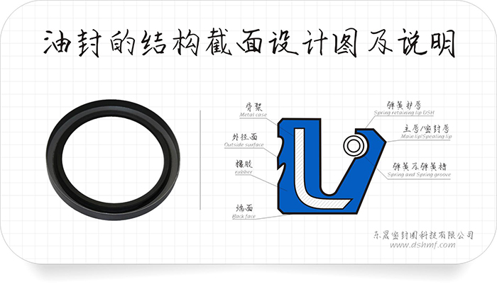 油封的結(jié)構(gòu)截面設(shè)計(jì)圖及密封件說(shuō)明和密封圈產(chǎn)品實(shí)圖