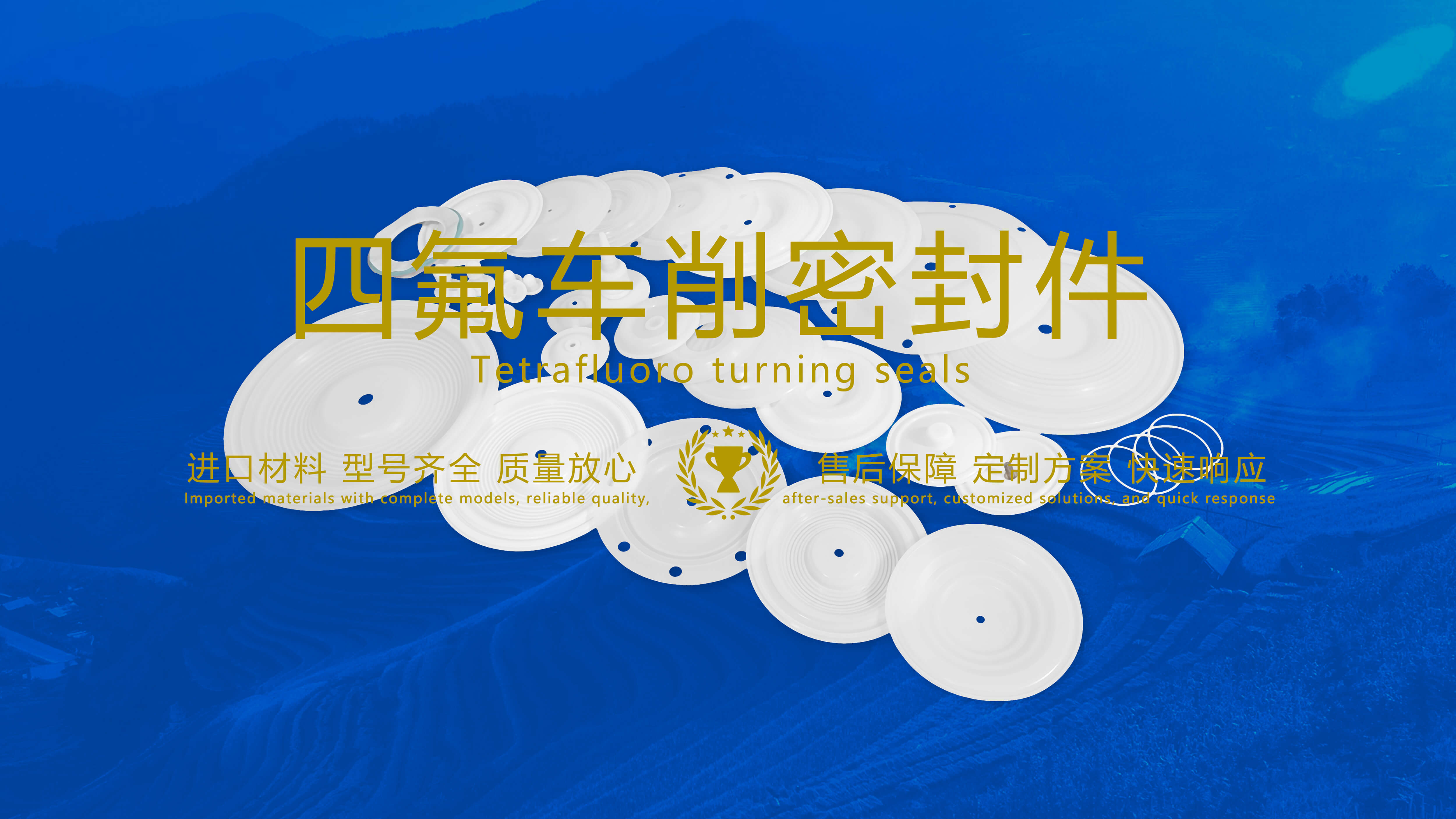 四氟車削密封件密封圈油封膜片配件產(chǎn)品圖.jpg