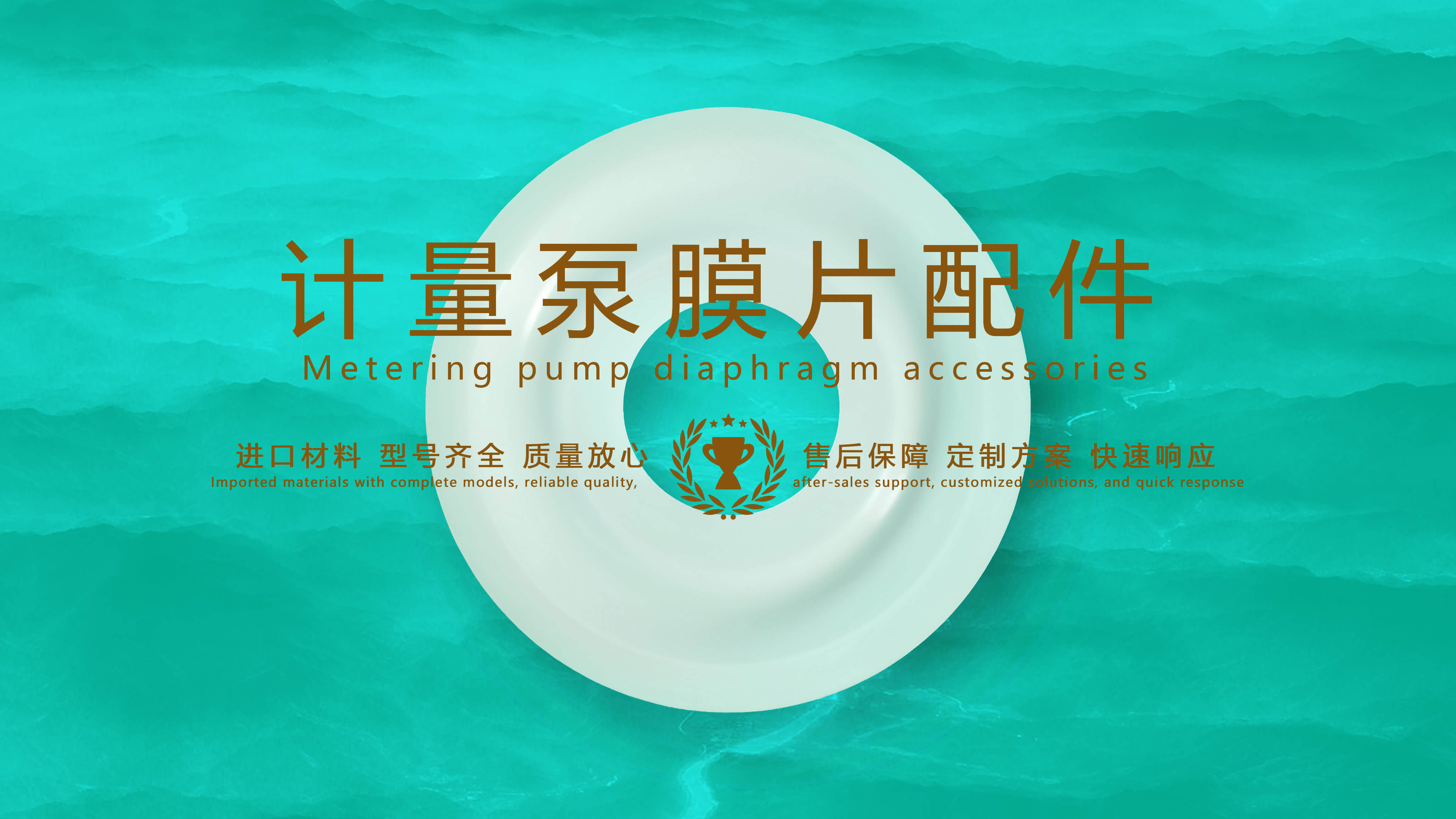 計(jì)量泵膜片配件密封件密封圈油封.JPG